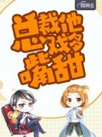 占总裁小说