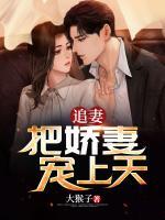 二婚娇妻宠上天 二桥
