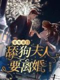 错嫁豪门舔狗夫人要离婚