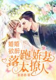 婚宠落月七七在线阅读