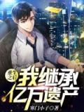 重生后继承亿万遗产 小说