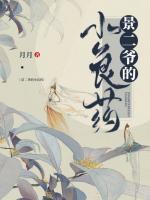 景二少小说