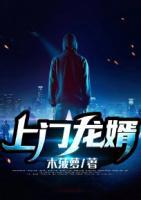 上门龙婿手机版