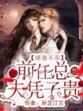娇妻不乖:前任总想夫凭子贵 岸芷汀兰
