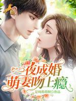 一夜成宠