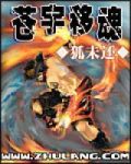 苍宇劫小说