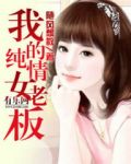 我的纯情女老板小说