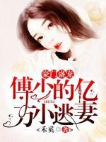 豪门盛宠:傅少的亿万小逃妻 禾奚