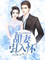 总裁追妻记2