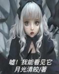 嘘!我能看见它 月光清皎