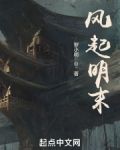风起明末