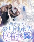 相亲当天:豪门继承人拉着我当他孩子妈
