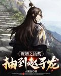赘婿之抽奖抽到赵子龙
