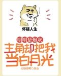 明明是炮灰,主角却把我当白月光