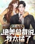 离婚当天,总裁前夫孕吐了