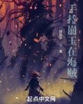 手持崩玉在海贼 琥珀华
