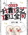 高能预警!我靠综艺爆红全网
