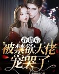扑错后,被禁欲大佬宠哭了txt
