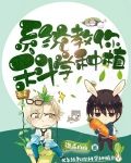系统教你科学种植