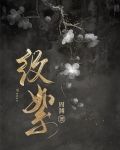 纹絮小说