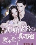 闪婚后傅先生马甲藏不住了31