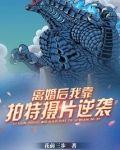 我靠离婚火遍娱乐圈【重生】 作者:晚歌