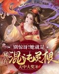 混沌之灵是什么