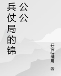 兵仗局的锦公公小说