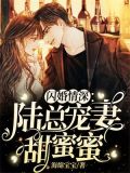 闪婚情深:陆总宠妻甜蜜蜜