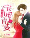 韩少的宝贝盲妻
