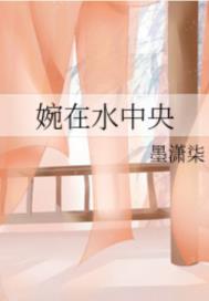 紫禁百年徽宝
