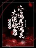 美梦成真系统小说