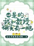 hp教授和他的儿子的小说
