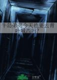 牛岛弟弟今天也要去青叶城西吗?