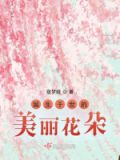 诞生花 查询