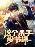这个杀手不太冷解说