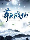 叶辰第几章找到了楚宣儿
