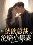 禁欲总裁求放过小说免费阅读全文