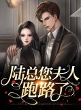 陆总您夫人跑路了陆烬