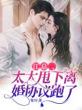 总裁太太的离婚书