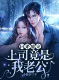 闪婚上校老公