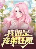 我的姐姐是护弟狂魔
