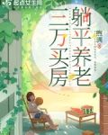 三万买房,小镇养老