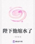 陛下他总入我梦 小说