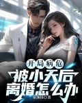 开局病危,被小天后离婚怎么办 章渔怪