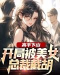 高手下山美女总裁是我小娇妻