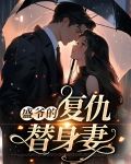 盛先生的复仇冷妻 小说