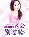 只婚不爱:老公别过来 s一指流年