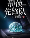 刑警先锋电视剧好看吗