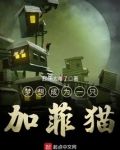 梦想成为一只加菲猫